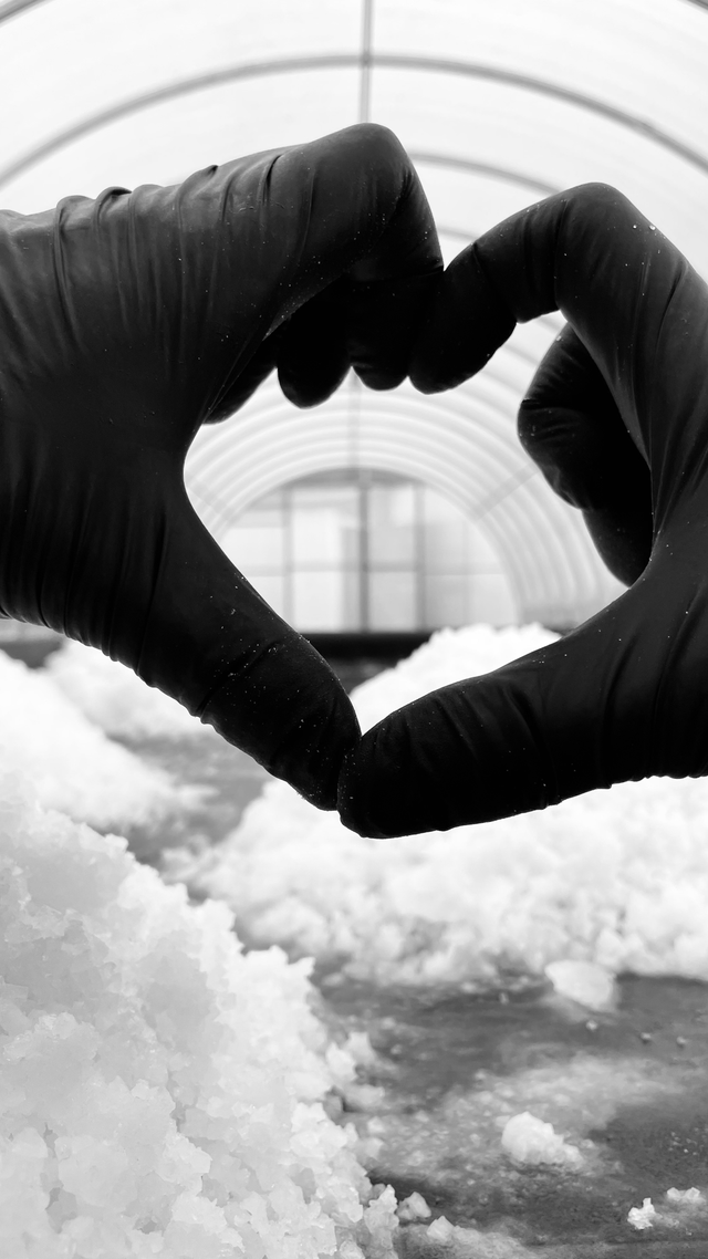 Wexford Sea Salt 